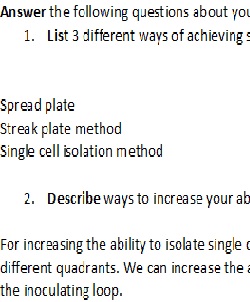 Bacterial Growth